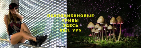 jwh Верея
