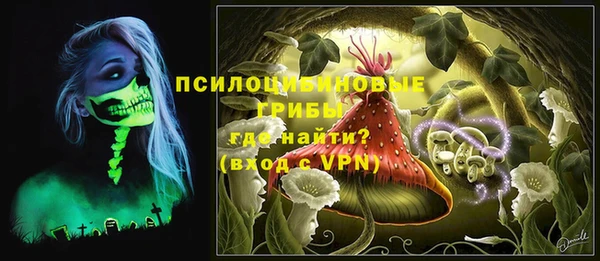 jwh Верея